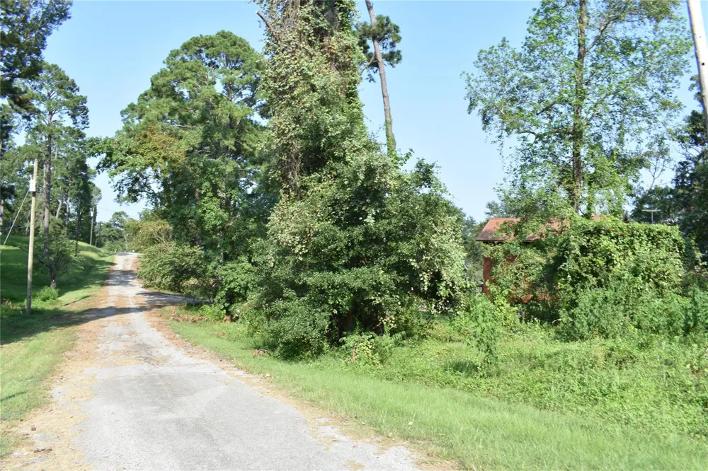 Shady Glen Drive Point Blank, TX 77364