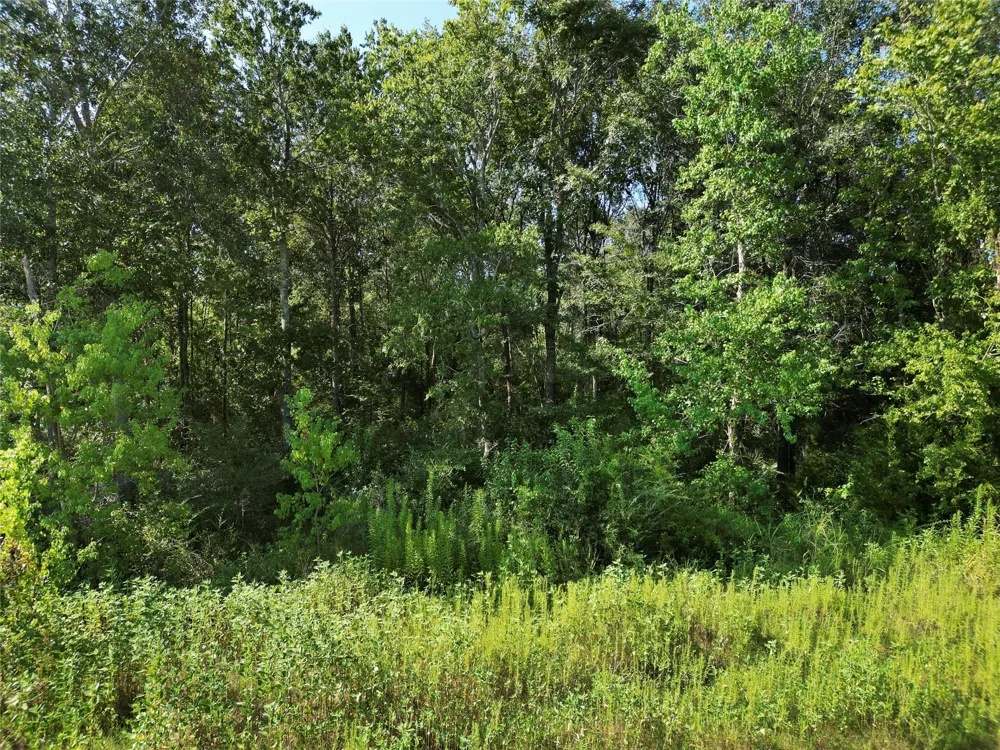 Ed Kharbat Drive Conroe, TX 77301