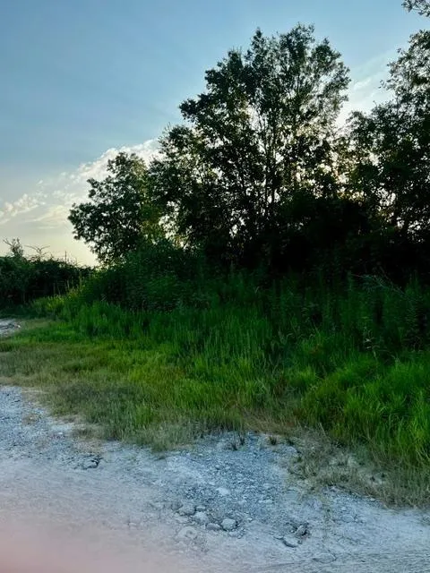 Upshaw Drive Houston, TX 77396