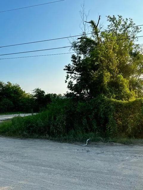 Upshaw Drive Houston, TX 77396