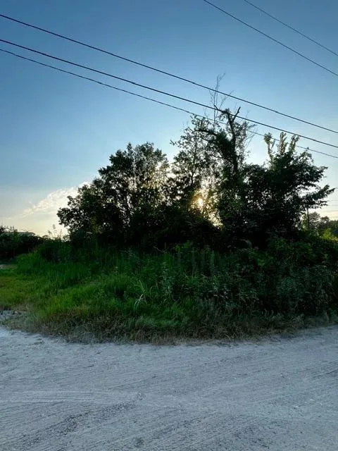 Upshaw Drive Houston, TX 77396