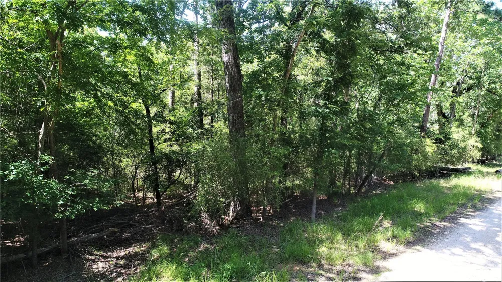 Lakeview Drive Crockett, TX 75835