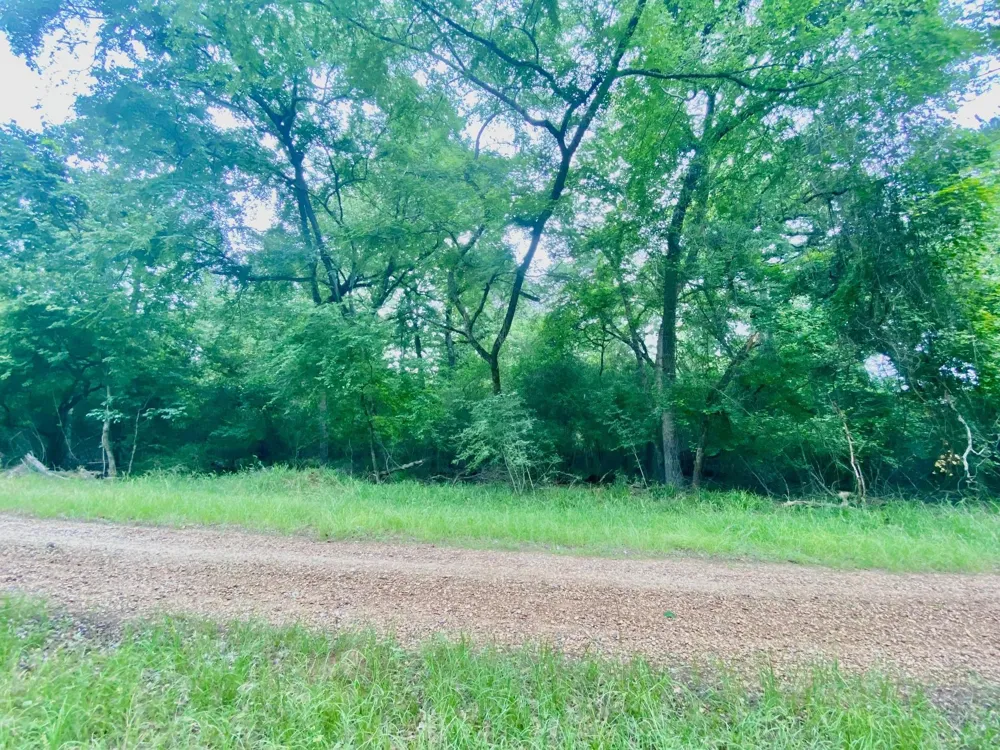 Lakeview Drive Crockett, TX 75835