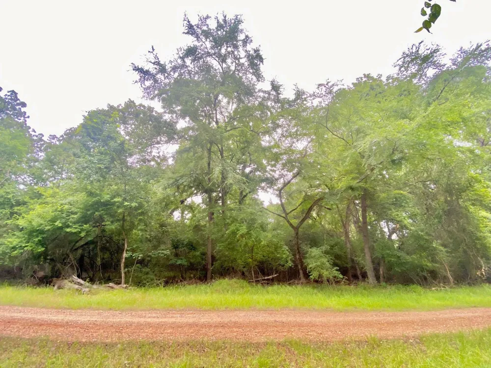 Lakeview Drive Crockett, TX 75835