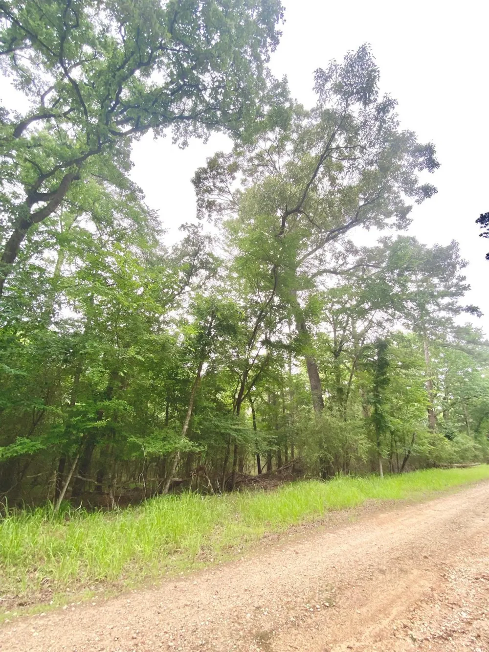 Lakeview Drive Crockett, TX 75835