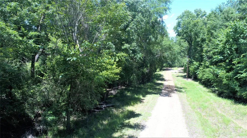 Forest Road Crockett, TX 75835