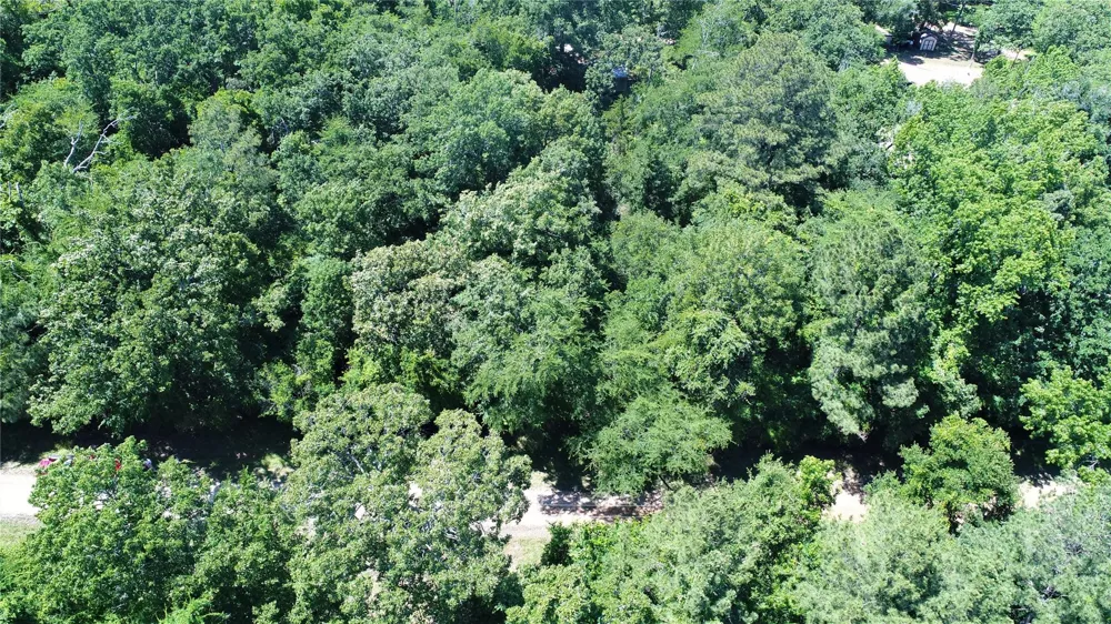 Forest Road Crockett, TX 75835