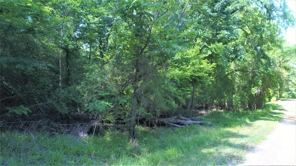 Forest Road Crockett, TX 75835