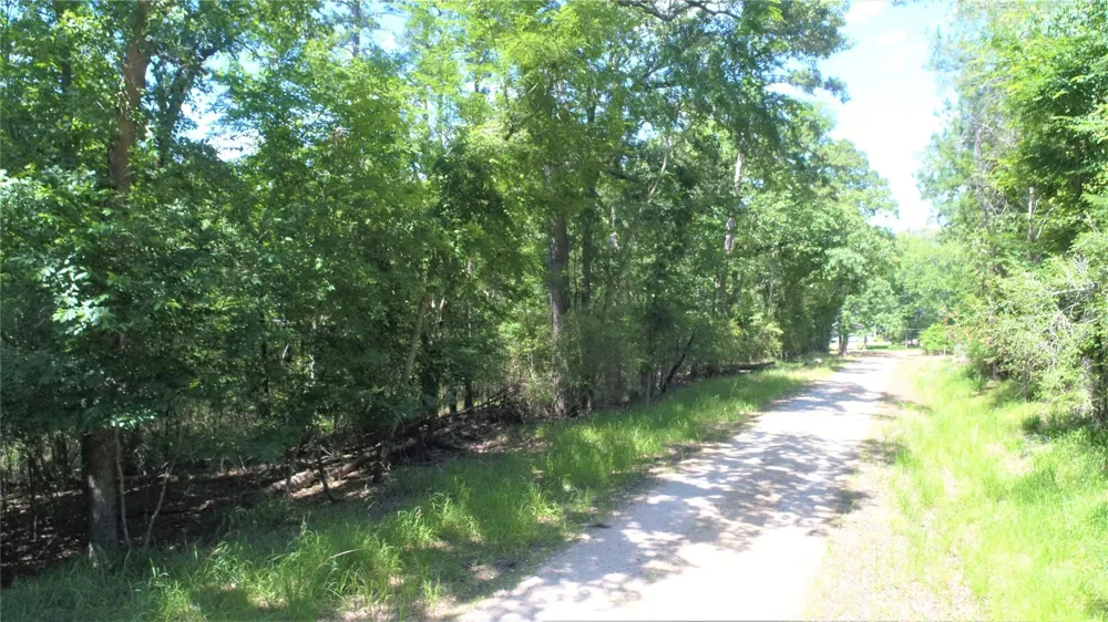 Forest Road Crockett, TX 75835