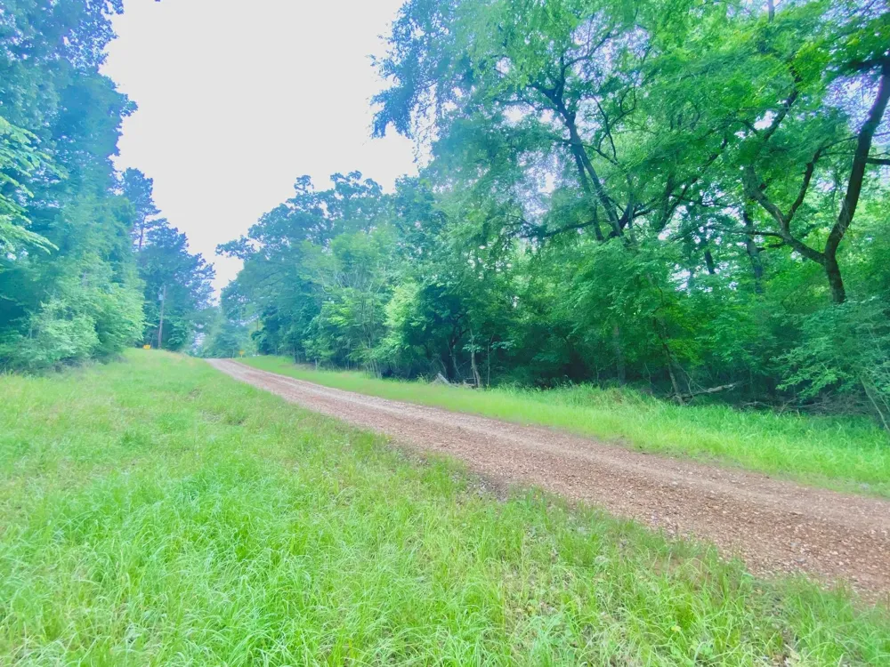 Forest Road Crockett, TX 75835