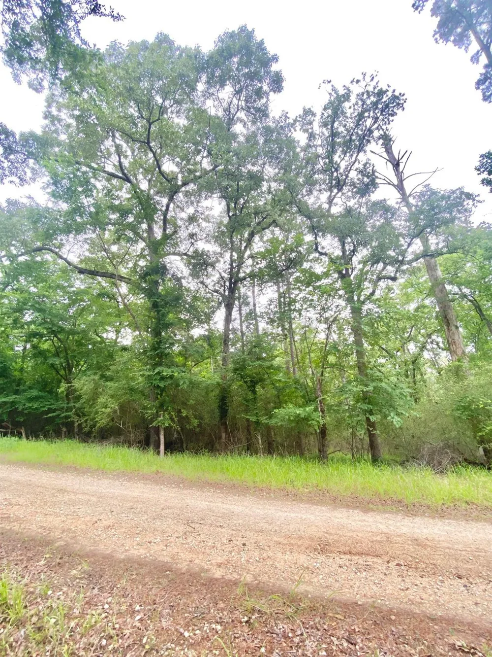 Forest Road Crockett, TX 75835