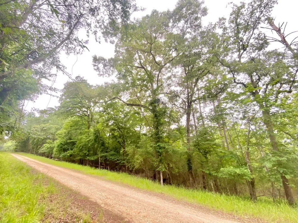 Forest Road Crockett, TX 75835
