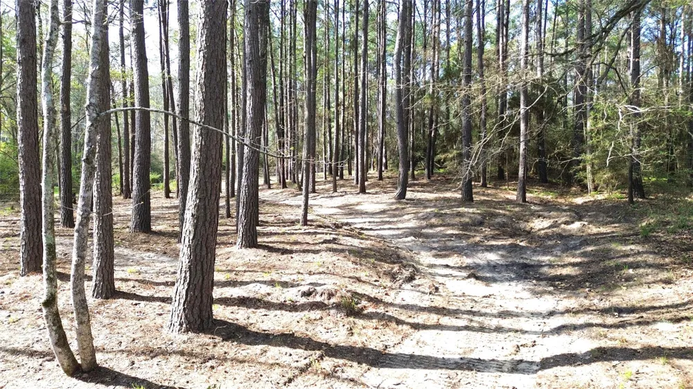 951 Pr 6050 Crockett, TX 75835