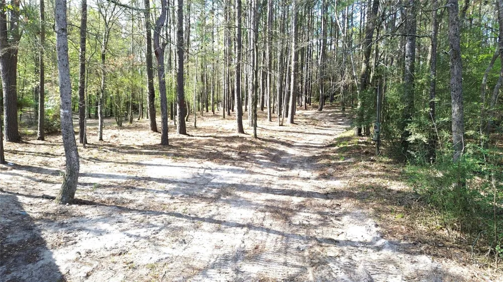 951 Pr 6050 Crockett, TX 75835