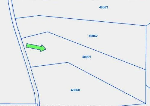 County Road  3385 Lovelady, TX 75851