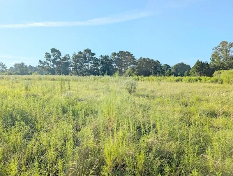 County Road  3385 Lovelady, TX 75851