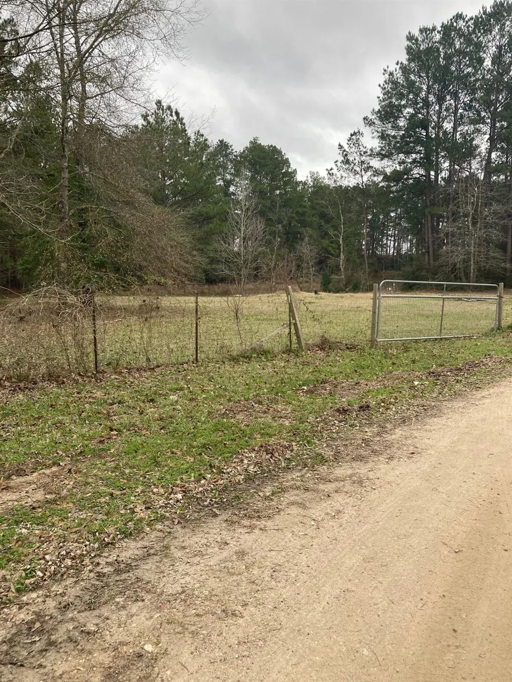 West Lake Dr Huntsville, TX 77320