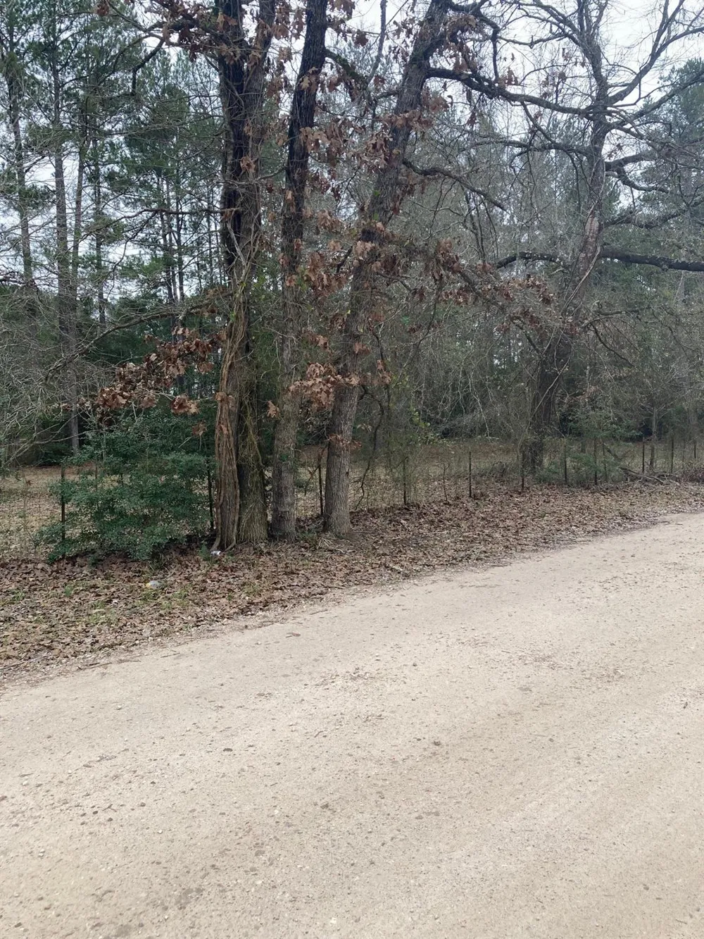 West Lake Dr Huntsville, TX 77320