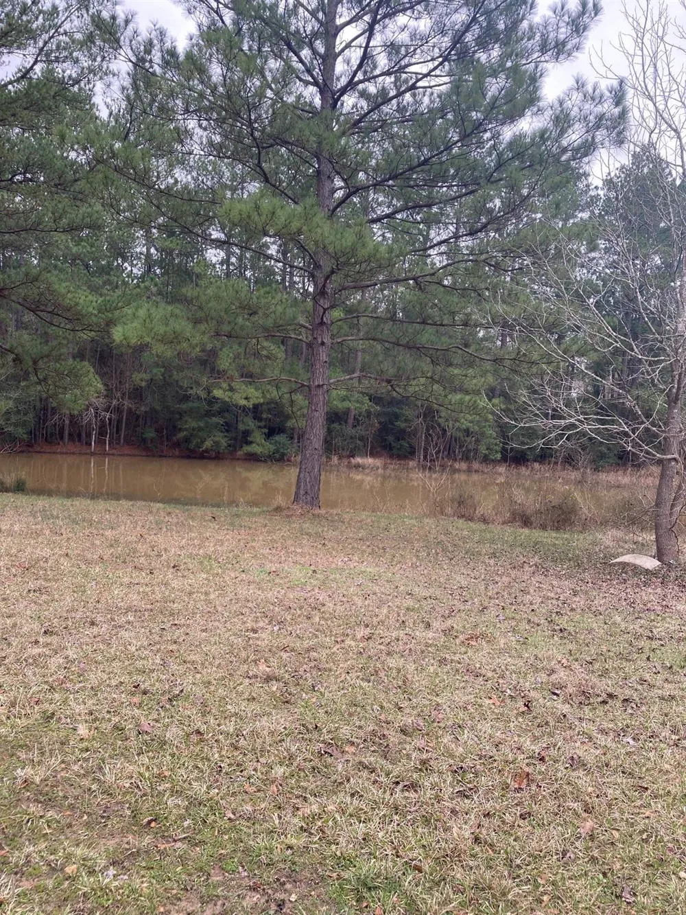 West Lake Dr Huntsville, TX 77320
