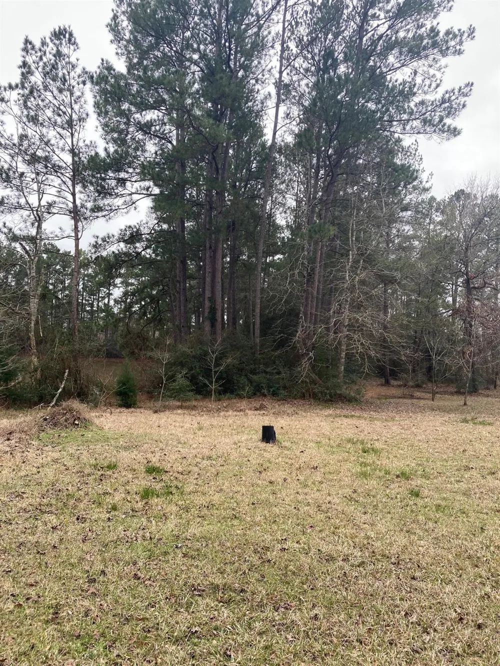 West Lake Dr Huntsville, TX 77320