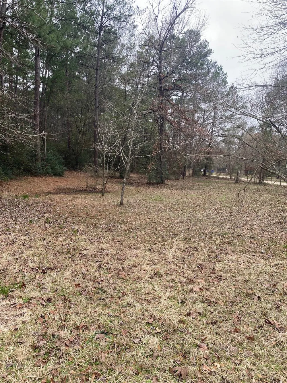 West Lake Dr Huntsville, TX 77320