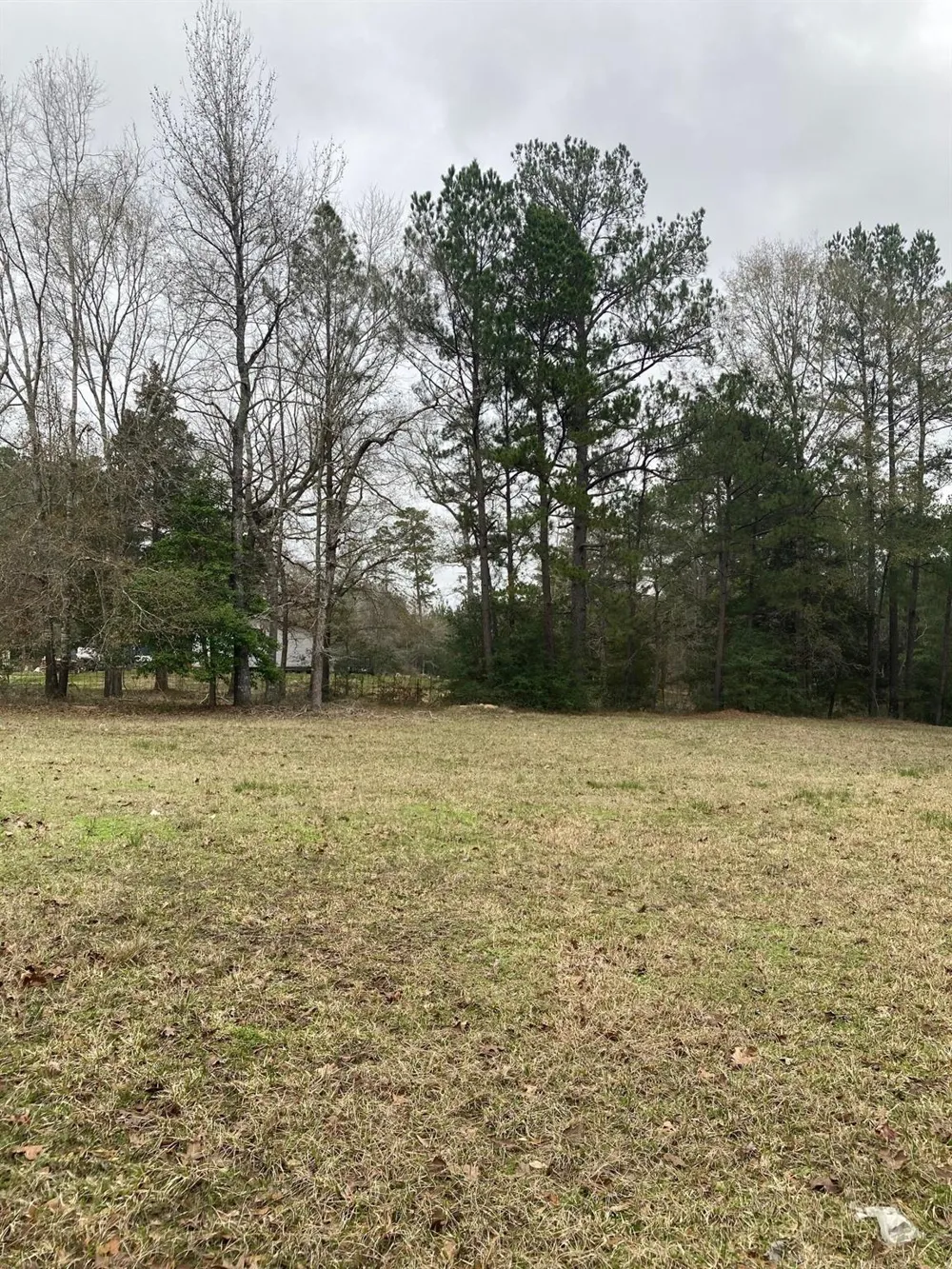 West Lake Dr Huntsville, TX 77320