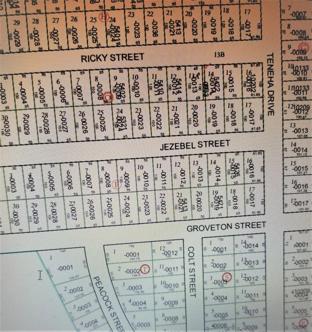 Colt Street Houston, TX 77033