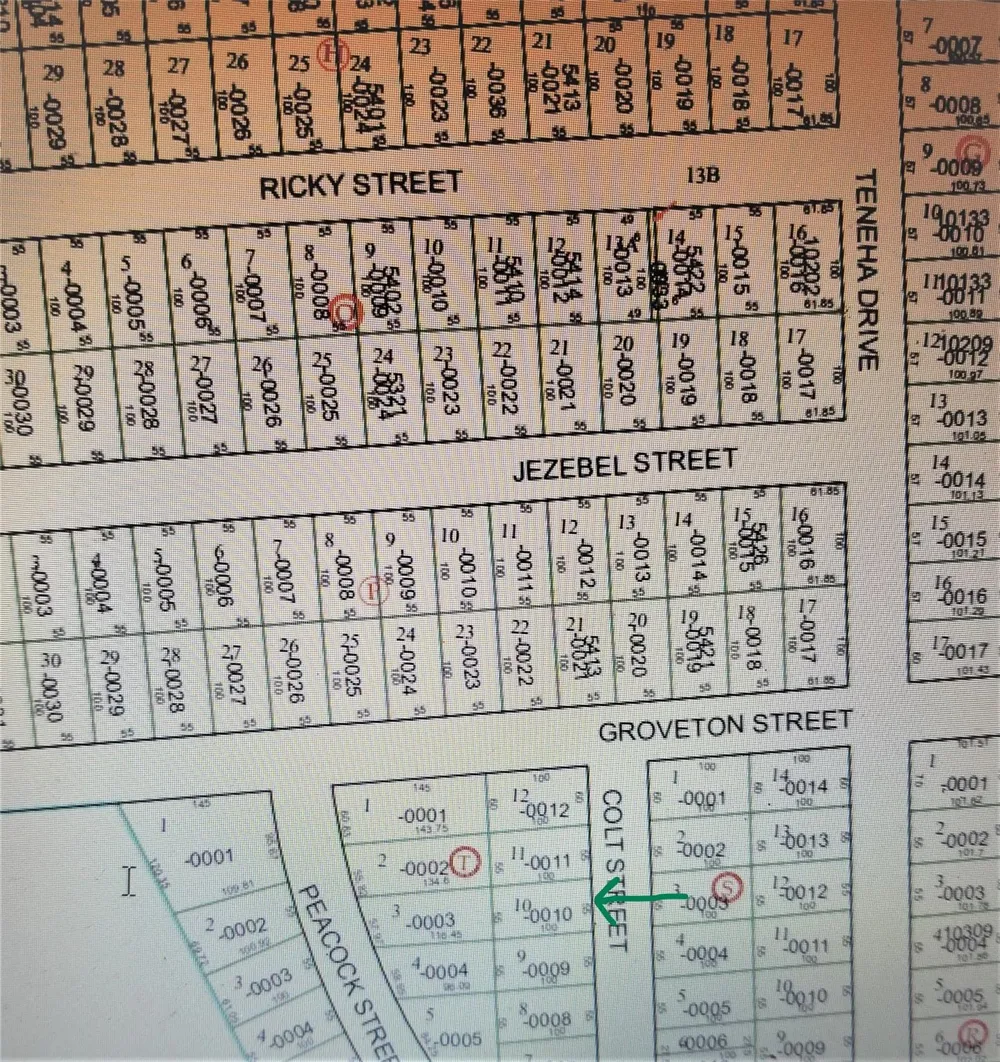 Colt Street Houston, TX 77033