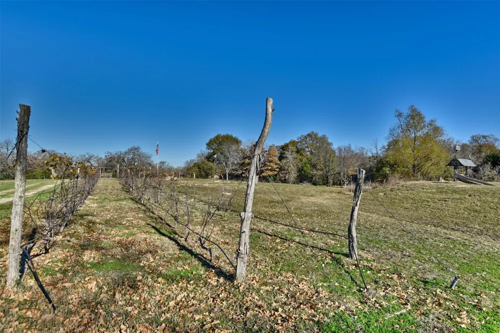 2869 Rockin C S Ranch Road Caldwell, TX 77836