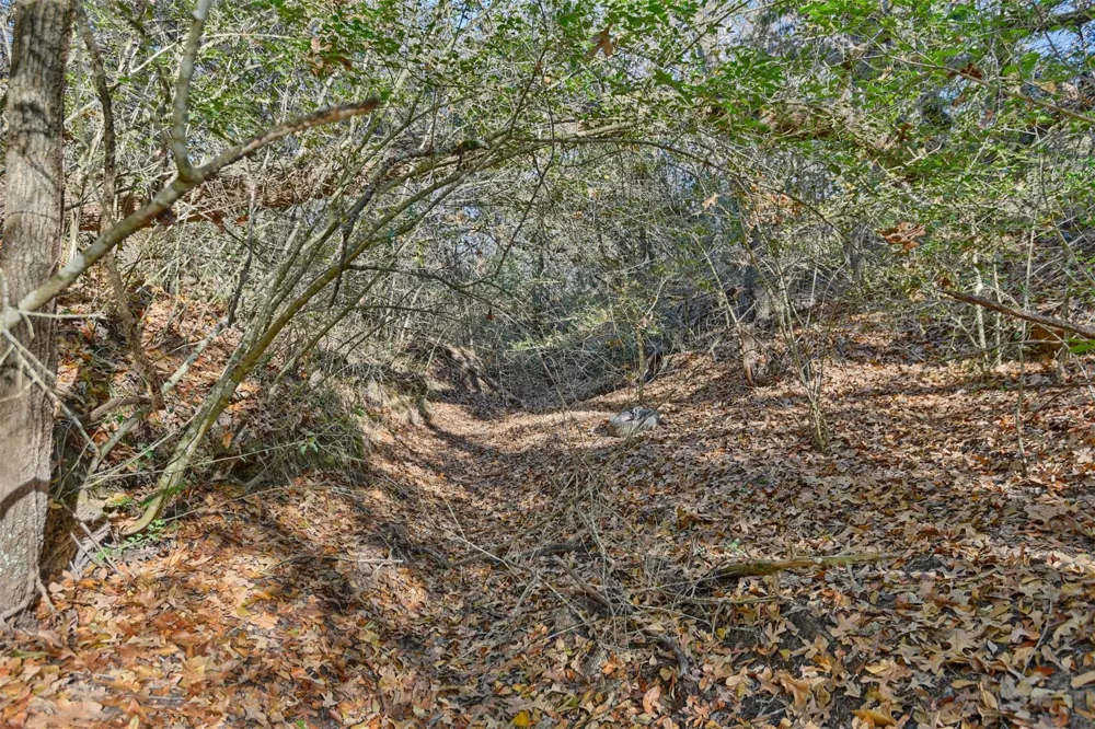 2869 Rockin C S Ranch Road Caldwell, TX 77836