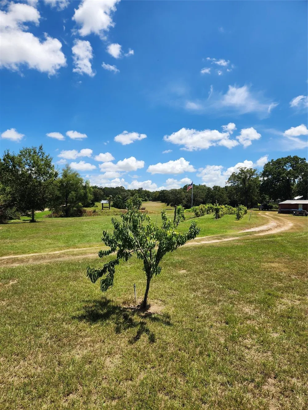 2869 Rockin C S Ranch Road Caldwell, TX 77836