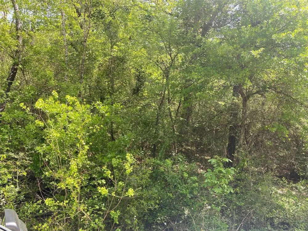 Hollybrook Drive Plantersville, TX 77363