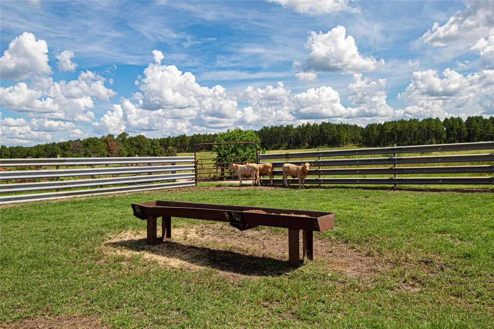 20720 Us Hwy 59 Corrigan, TX 75939