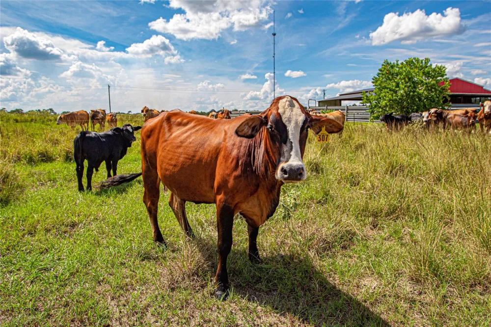 20720 Us Hwy 59 Corrigan, TX 75939