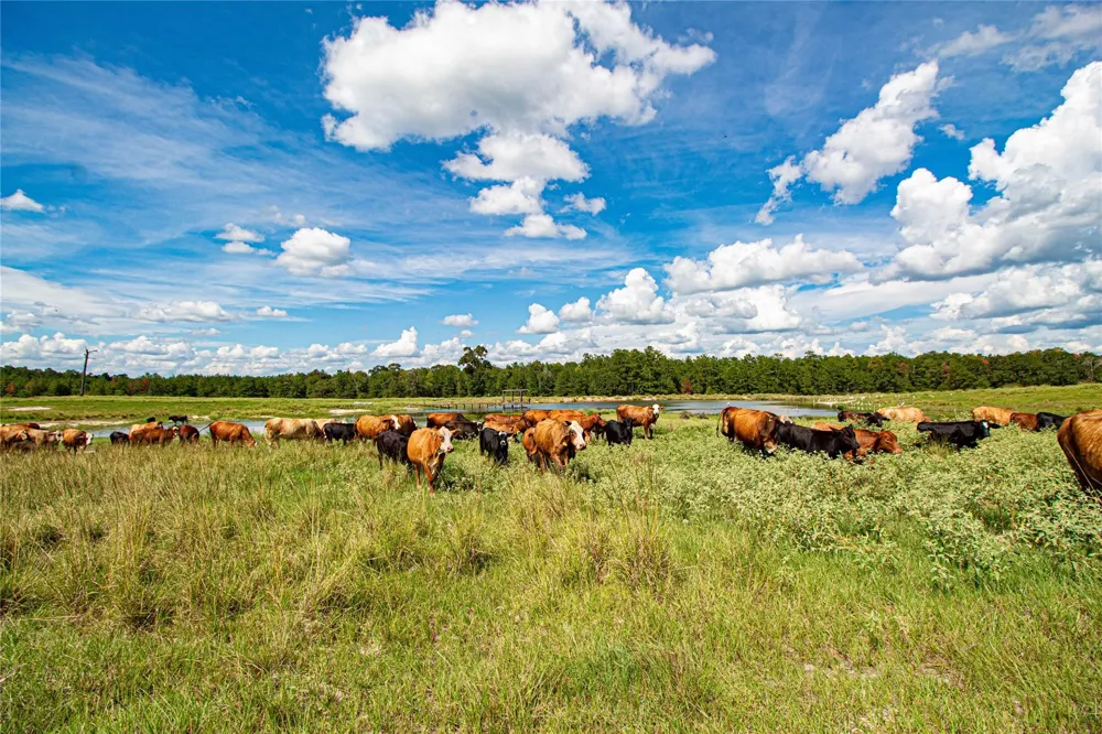 20720 Us Hwy 59 Corrigan, TX 75939