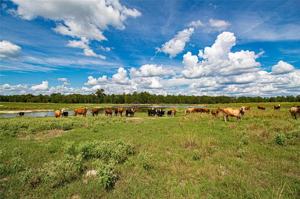 20720 Us Hwy 59 Corrigan, TX 75939
