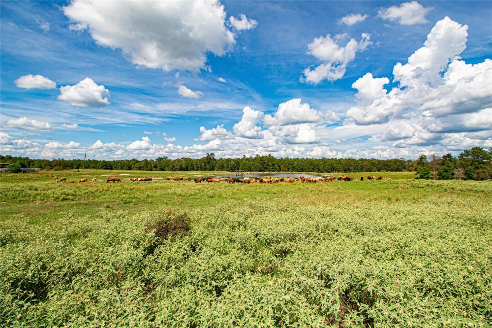 20720 Us Hwy 59 Corrigan, TX 75939