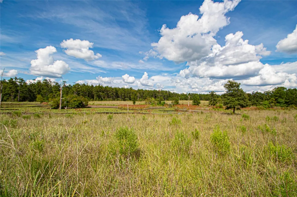 20720 Us Hwy 59 Corrigan, TX 75939