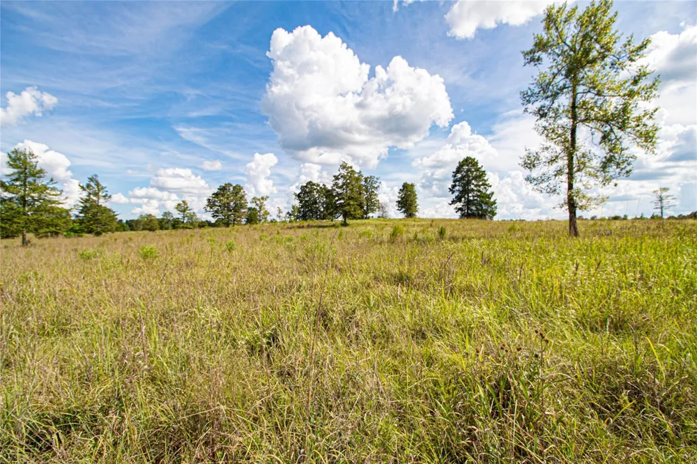 20720 Us Hwy 59 Corrigan, TX 75939