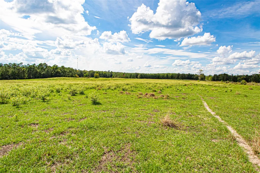 20720 Us Hwy 59 Corrigan, TX 75939