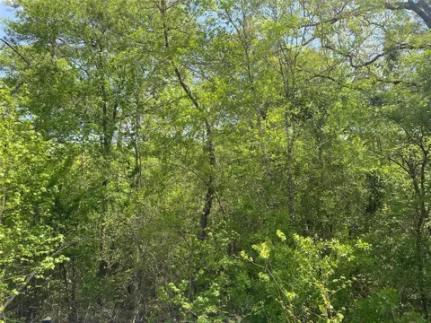 Hollybrook Drive
