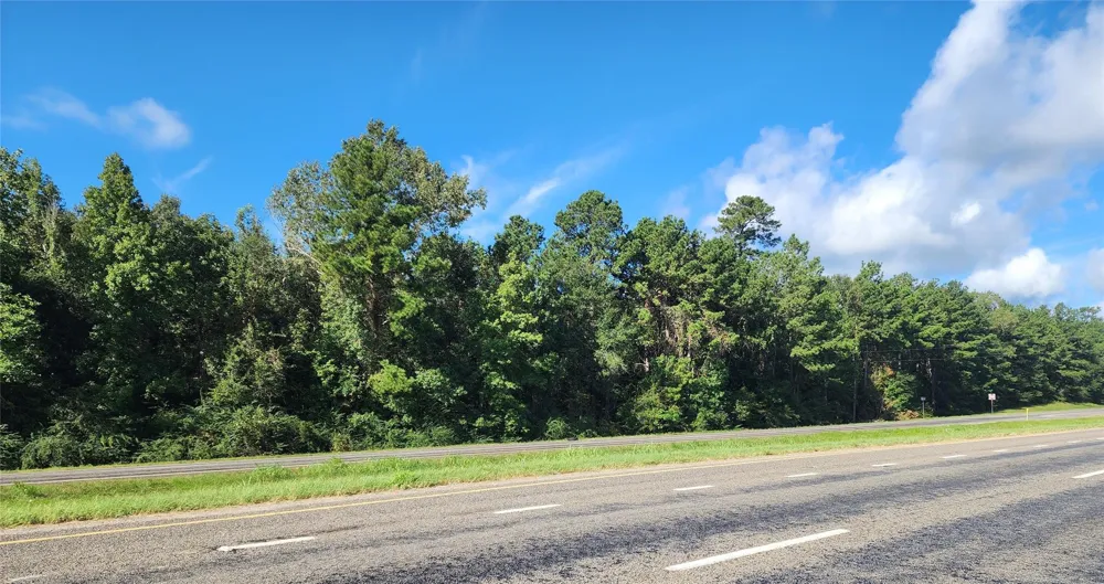 Us-190 W Livingston, TX 77351