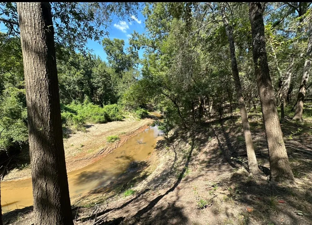 County Road 112 Centerville, TX 75833