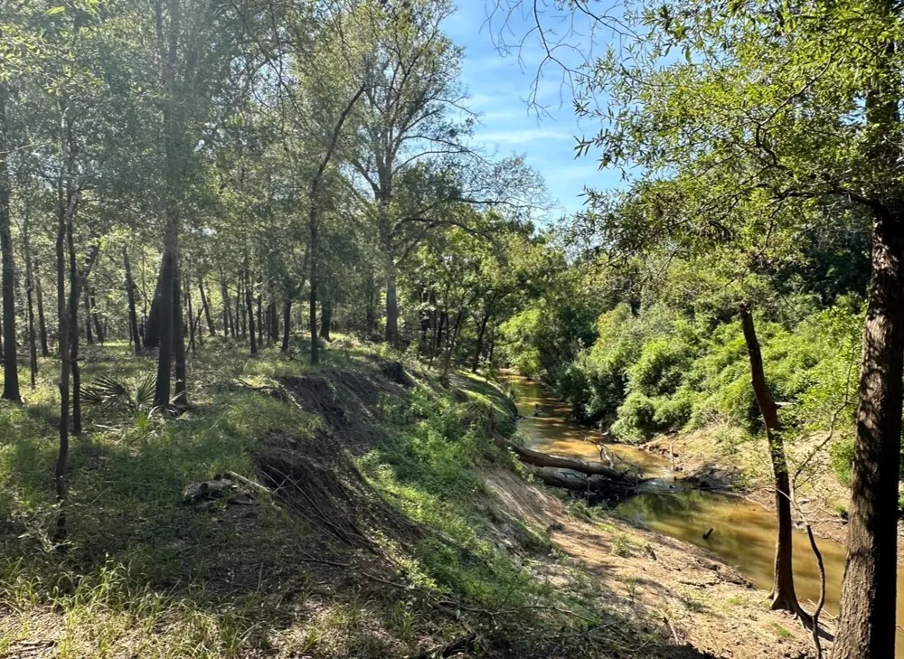 County Road 112 Centerville, TX 75833