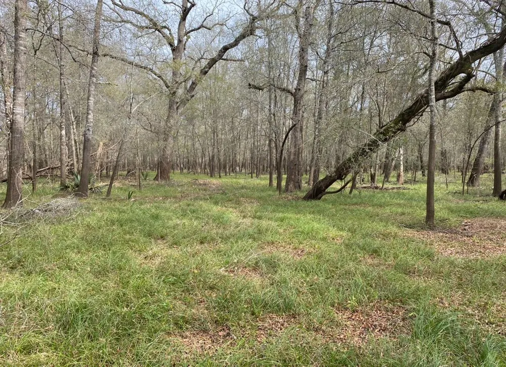 County Road 112 Centerville, TX 75833