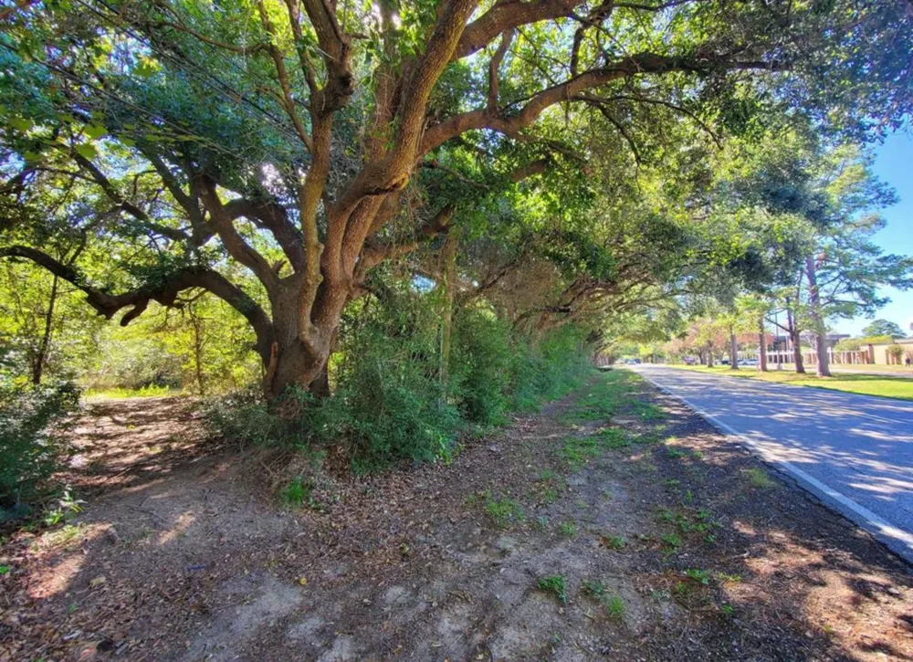 Schroeder Road Houston, TX 77070