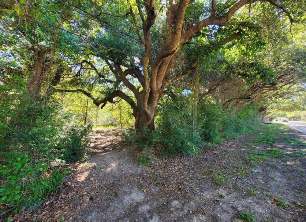 Schroeder Road Houston, TX 77070