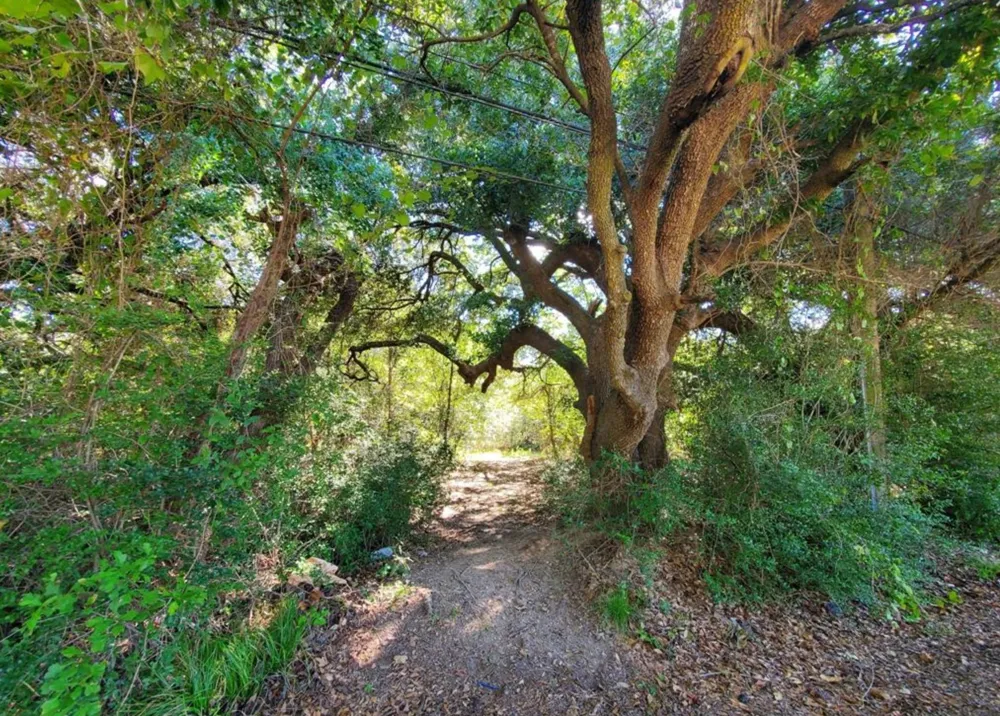 Schroeder Road Houston, TX 77070