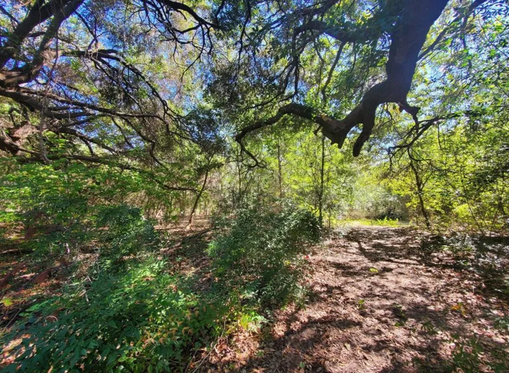 Schroeder Road Houston, TX 77070