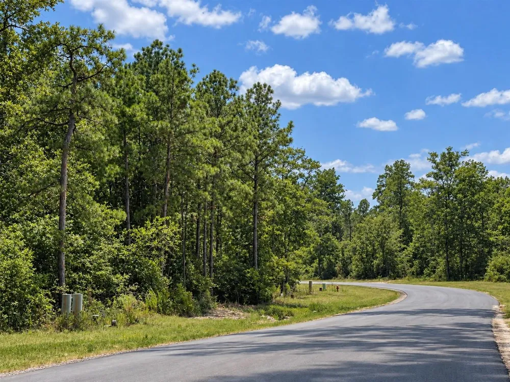 242 Iron Horse Road New Waverly, TX 77358
